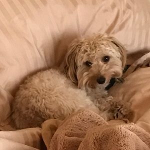 Meet your Posher, Terrie